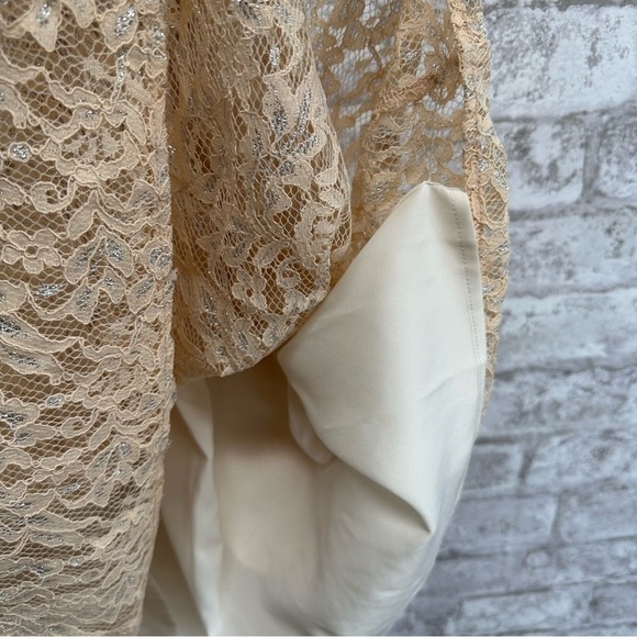 Loft Ann Taylor lace jewel‎ dress women’s 2 NWT tan silver sparkle - Picture 5 of 9